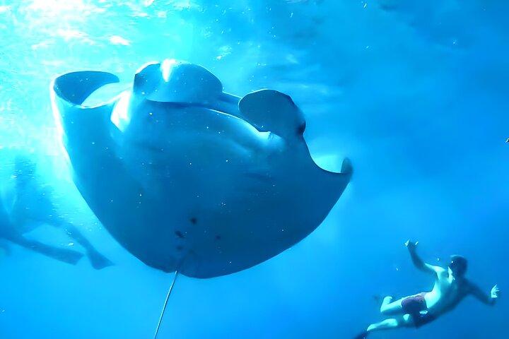 Nusa Penida Island Beach Tour With Snorkeling - Departure From Bali Island