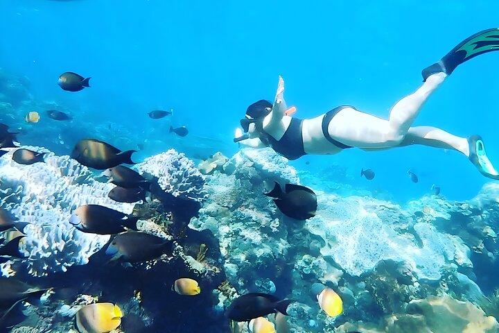 Nusa Penida Island Beach Tour With Snorkeling - Departure From Bali Island
