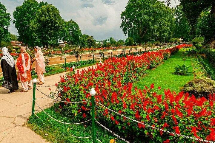 Wahga Border Flag Ceremony & Shalimar Garden Private Tour