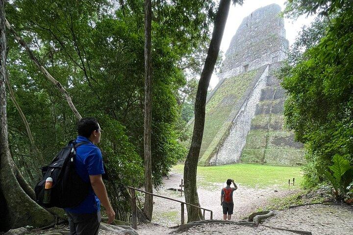 Tikal Vip Private Tour from Flores Guatemala with transportation