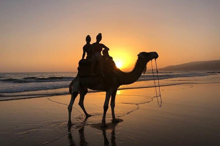Agadir Dune Quad Bike and Sunset Camel ride Adventure