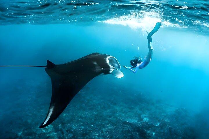Nusa Penida Island Beach Tour With Snorkeling - Departure From Bali Island
