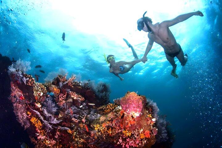Best Bali Snorkeling at Blue Lagoon Beach: All-Inclusive