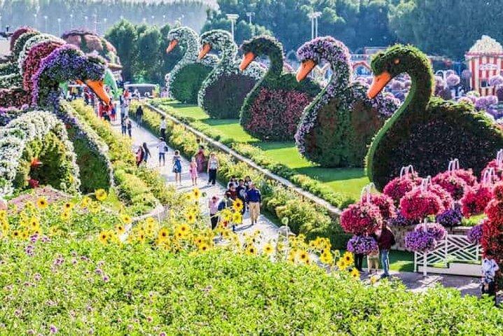 Dubai Miracle Garden Admission Ticket with Options