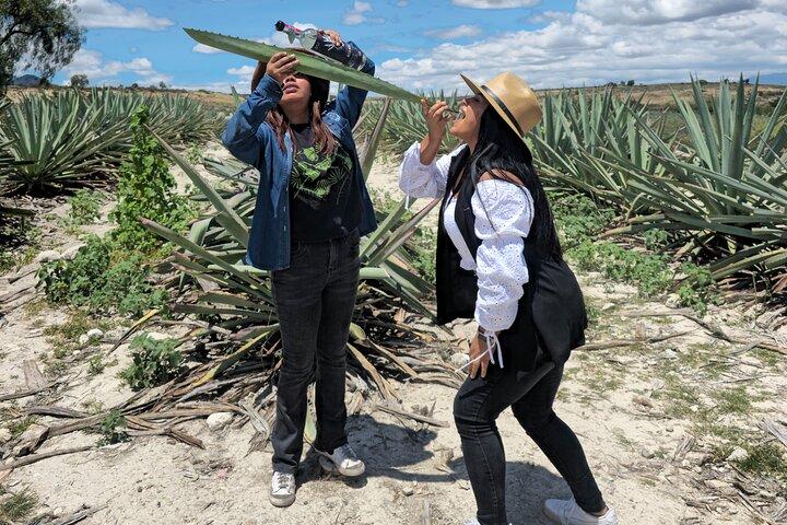 Oaxaca Mezcal & Pulque Tour by Barrel Bus