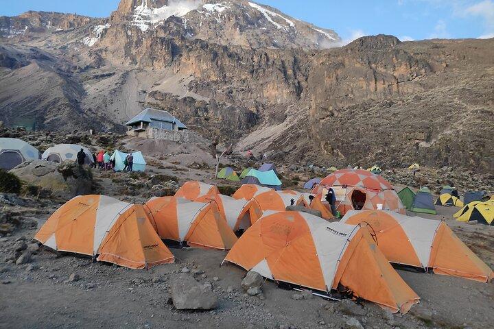 8 Days Mount Kilimanjaro Climb Lemosho route