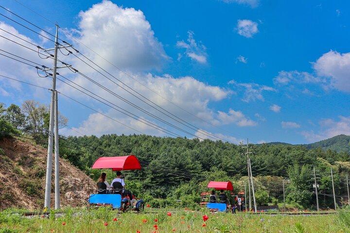 (Private tour) Nami Island + Railbike + Garden of morning calm