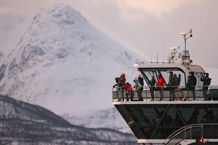 Silent Whale Watching by Hybrid-Electric Boat from Tromsø