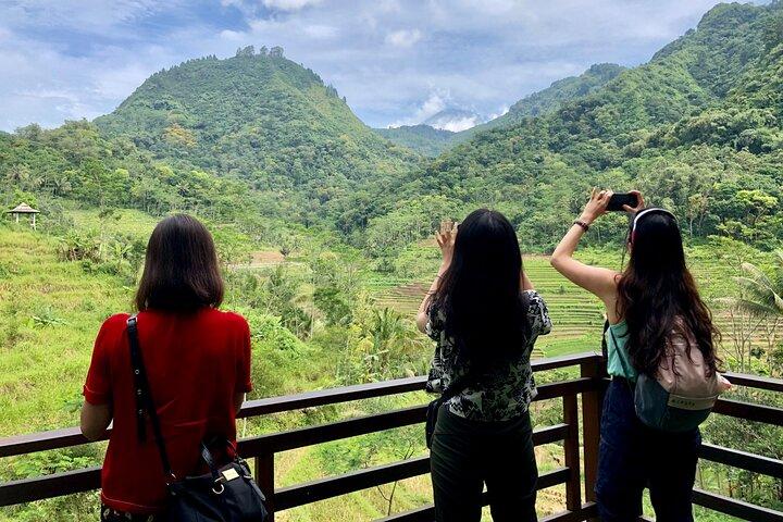 Borobudur Climb Up and Selogriyo Rice Terrace Guided Day Tour