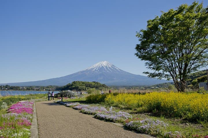 Mt.Fuji Private Tour With Guide (From Tokyo)