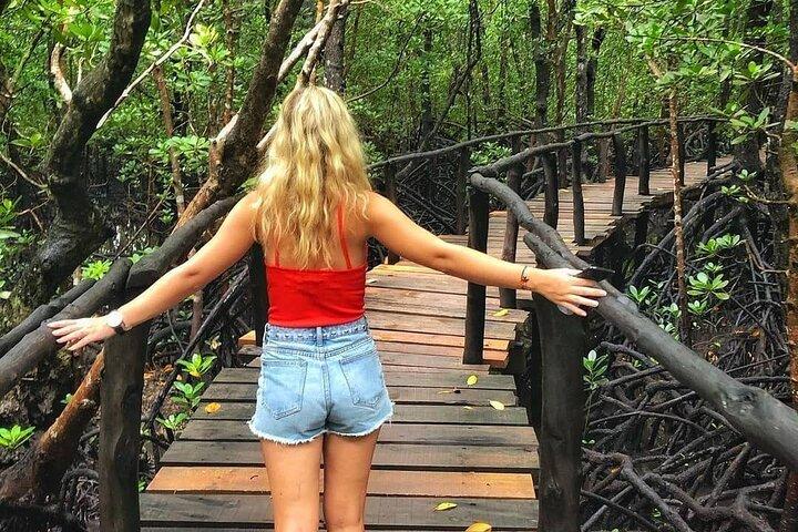Mnemba Dolphin plus Jozan Forest and Aquarium Tour