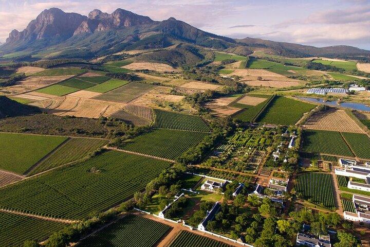 Winelands Explore Full Day Tour: Franschhoek, Paarl, Stellenbosch