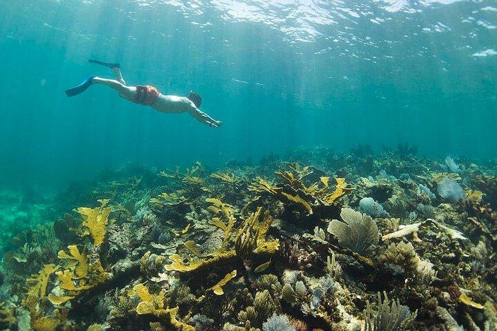 Guided Visit to Puerto Morelos with Snorkeling Included