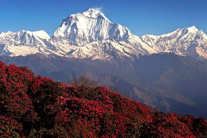 10 Days Private Guided Annapurna Basecamp Trek via Poon Hill