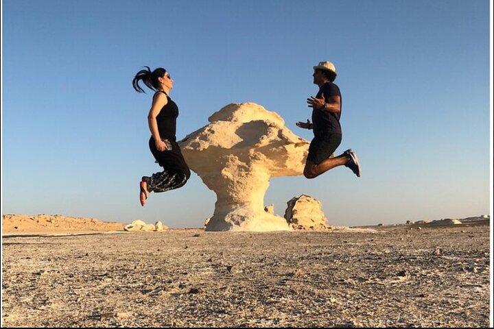 Private Full-Day Tour From Cairo - Visit Black and White Deserts