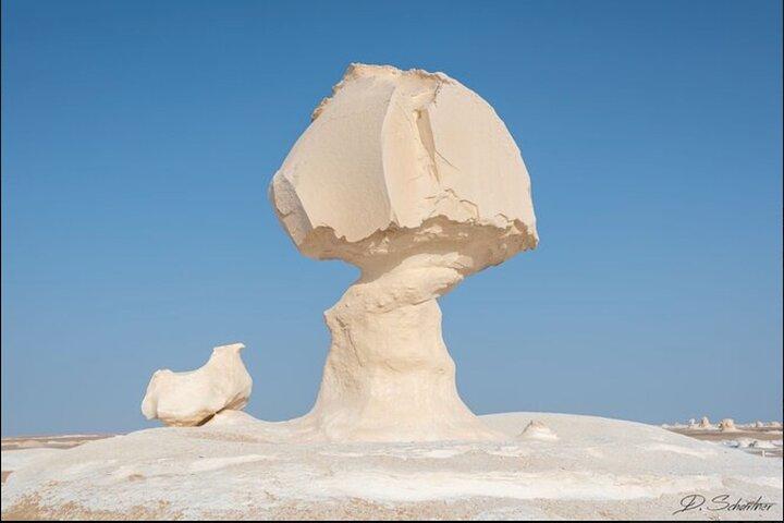 Private Full-Day Tour From Cairo - Visit Black and White Deserts