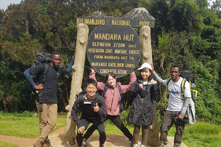 Private Kilimanjaro Day Hike to Marangu Route's Mandara Hut