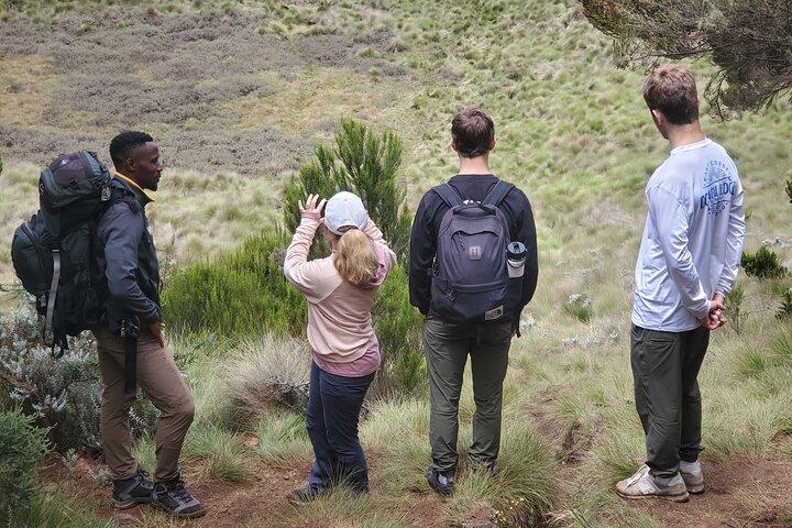 Private Kilimanjaro Day Hike to Marangu Route's Mandara Hut