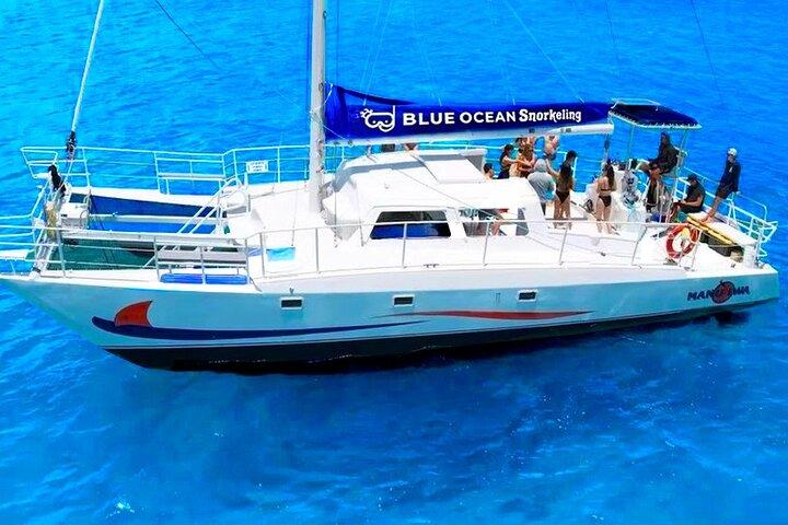 Waikiki Turtle Snorkeling Tour with Free Pickup