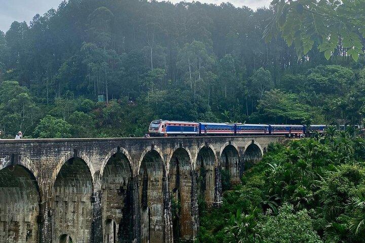Shore Excursion Hambantota Port to Ella Day Tour (All Inclusive)
