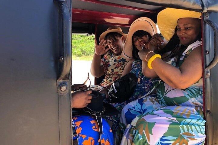 Port Elizabeth Adventure: Tuk-Tuk, Penguins, & Cape Recife