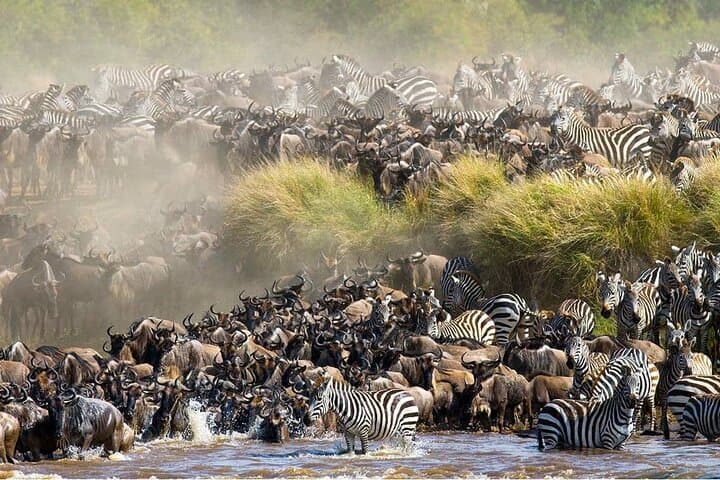 9 Days Wildlife and Scenic Safari