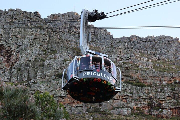 Cape Town: Cape of Good Hope, Table Mountain & Wine Tasting Tour