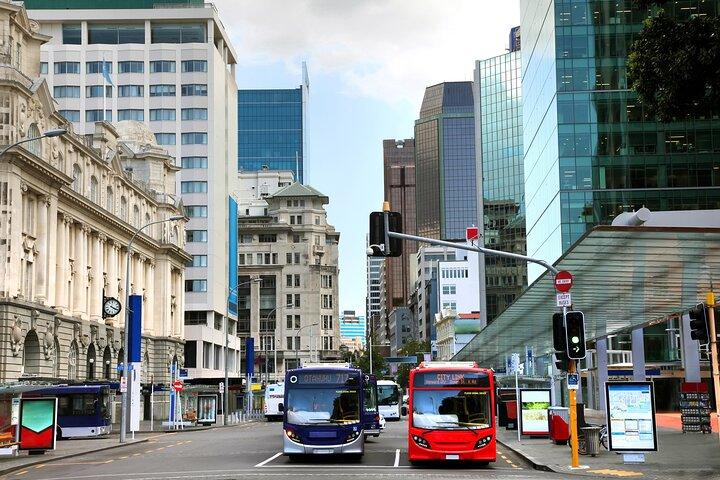 Full Day Private Shore Tour in Auckland from Auckland Cruise Port