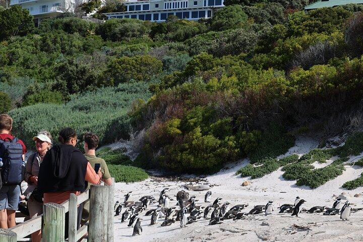Private Cape Of Good Hope Tour with Table Mountain Ticket Including Park Fees