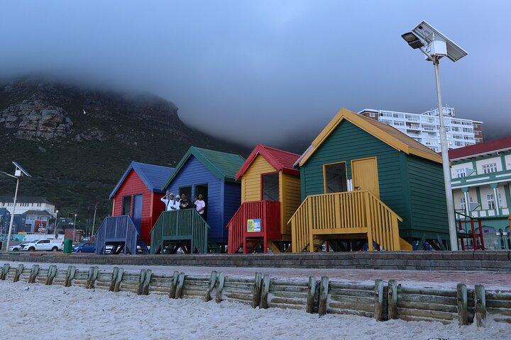 Private Cape Of Good Hope Tour with Table Mountain Ticket Including Park Fees