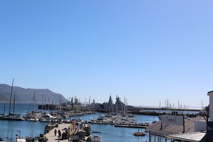 Cape Town: Cape of Good Hope Tour, Penguin Beach & Table Mountain