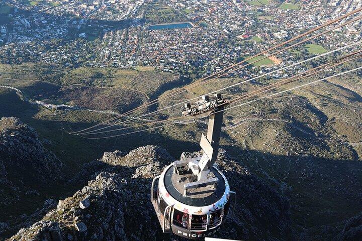 Cape Of Good Hope and Table Mountain Day Trip from Cape Town parks fees include