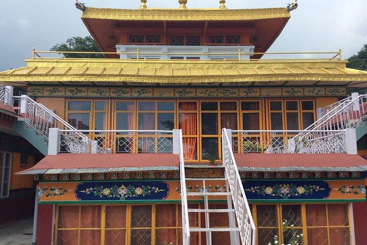 Private Guided Dharamshala Tour with Scenic Views & Lunch