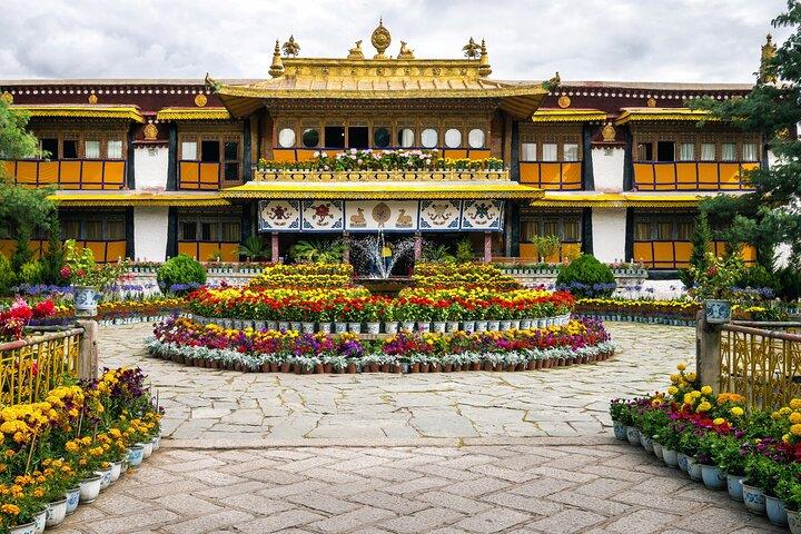 Private Guided Dharamshala Tour with Scenic Views & Lunch
