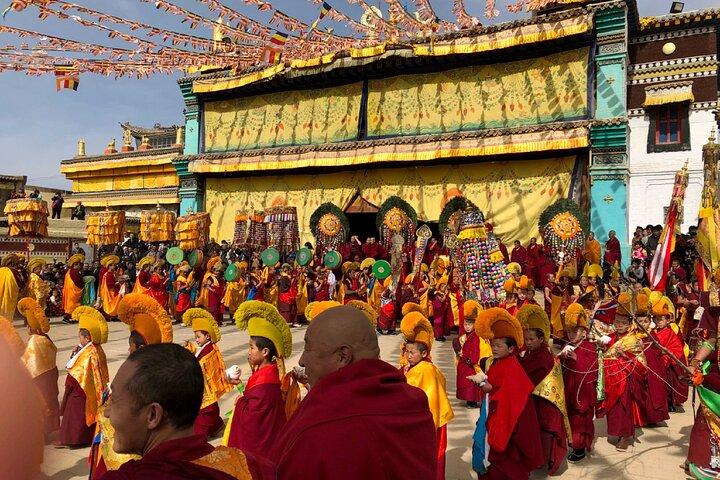 Private Guided Dharamshala Tour with Scenic Views & Lunch