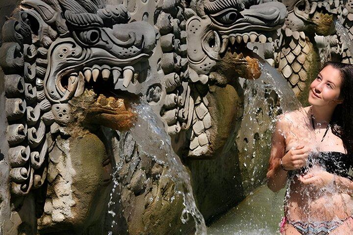 Private Full-Day Tour : North Bali Trip to Discover The Culture of Bali Island