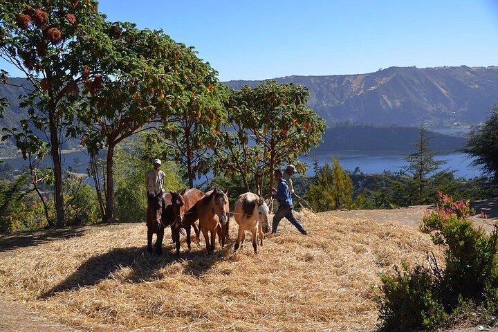 Day Trip From Addis Ababa To Wenchi Crater Lake