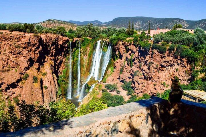 From Marrakech: Day Trip to Ouzoud Waterfalls Guided & Boat Ride