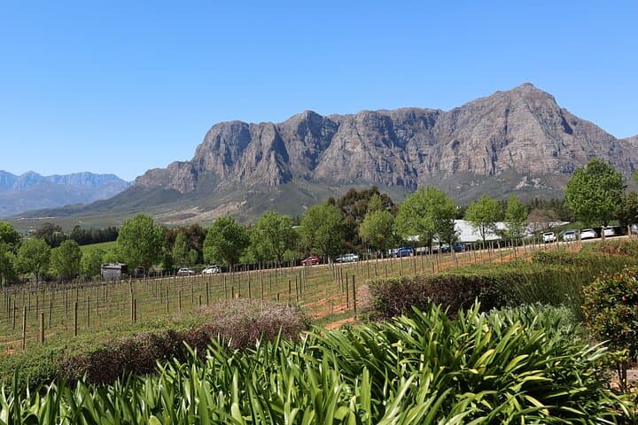 Private Wine Tour Cape Town with Local Guide, Tasting Fees Includ