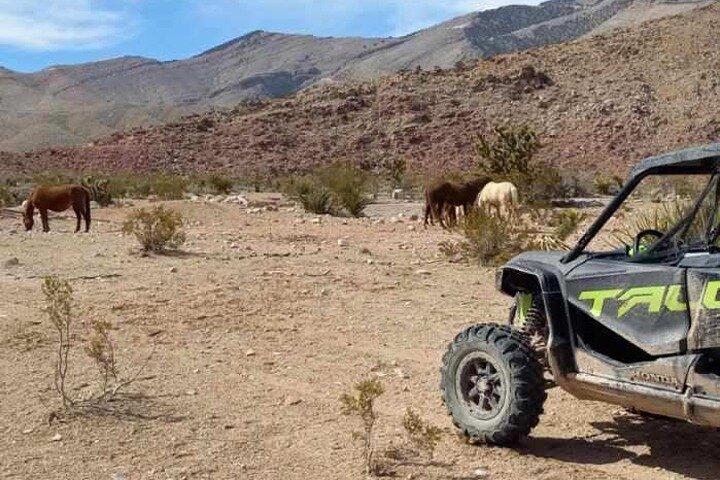 Las Vegas UTV Tour