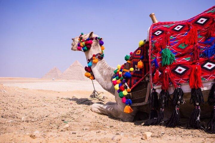 Explore Giza Pyramids with English Guide and Egyptian Lunch