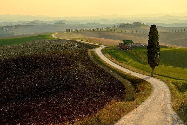 Guided tour in wonderful Tuscany