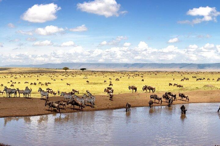 Private Overnight Safari To Maasai Mara
