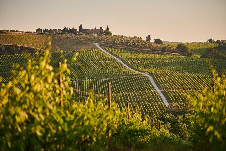 Haro, Laguardia & Two Rioja Wineries Day Trip from Bilbao