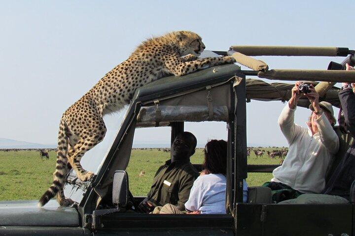 5-Day Affordable Wildlife Safari in Kenya