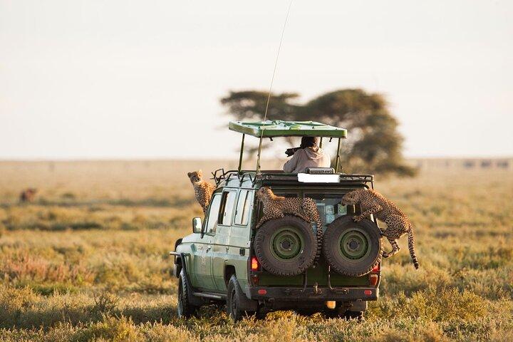 9 Days Wildlife Adventure with Flights and 4x4 Land Cruiser Jeep