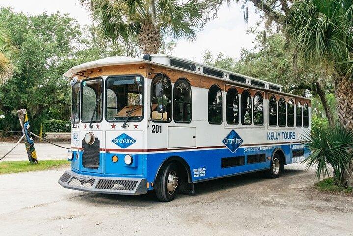 Savannah to Tybee Island with Dolphin Cruise