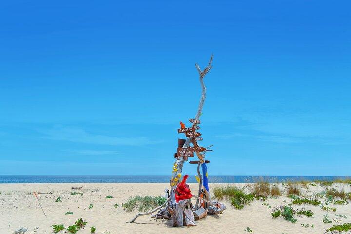 Hop On Hop Off 3 Islands: Deserta, Farol and Culatra
