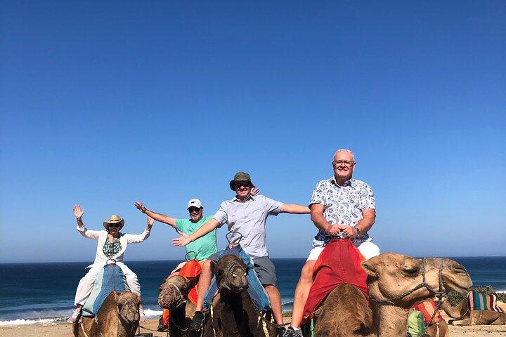 Tangier Private Tour :Medina ,souks, kasbah, caves & camel ride