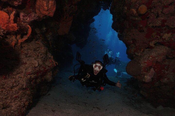 2 Tank Morning Dive: Scuba Diving in Cozumel